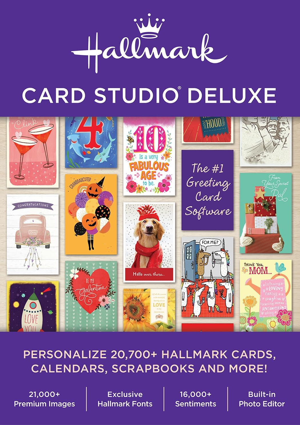 Download Hallmark Card Studio Deluxe 2025 Full Version
