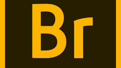 Download Adobe Bridge 2024 Software Full Version