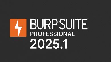 Download Burp Suite Professional For Windows Full Version