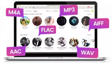 Download Ondesoft Pandora Music Converter Full Version